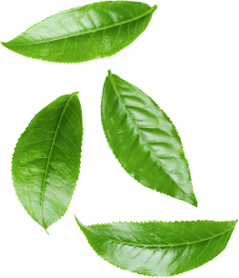 Natural Health Products | Earth Wyze