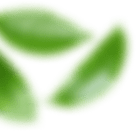 Natural Health Products | Earth Wyze