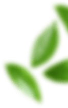 Natural Health Products | Earth Wyze