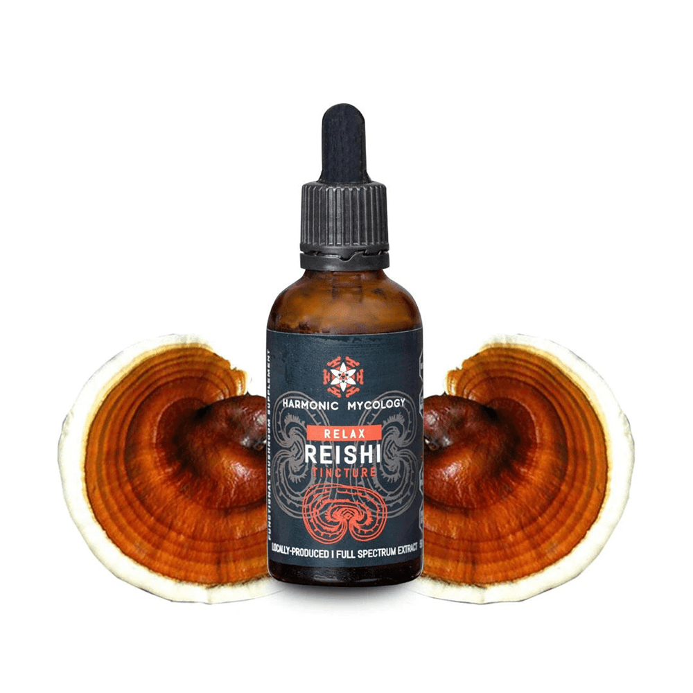 Reishi vs. Lion’s Mane | Earth Wyze