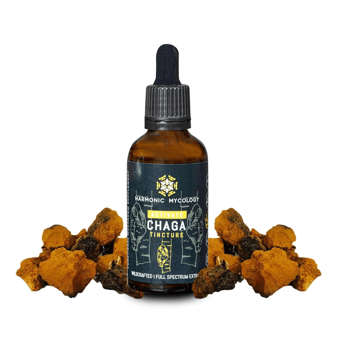 The Scientific Benefits of Mushroom Supplements | Earth Wyze