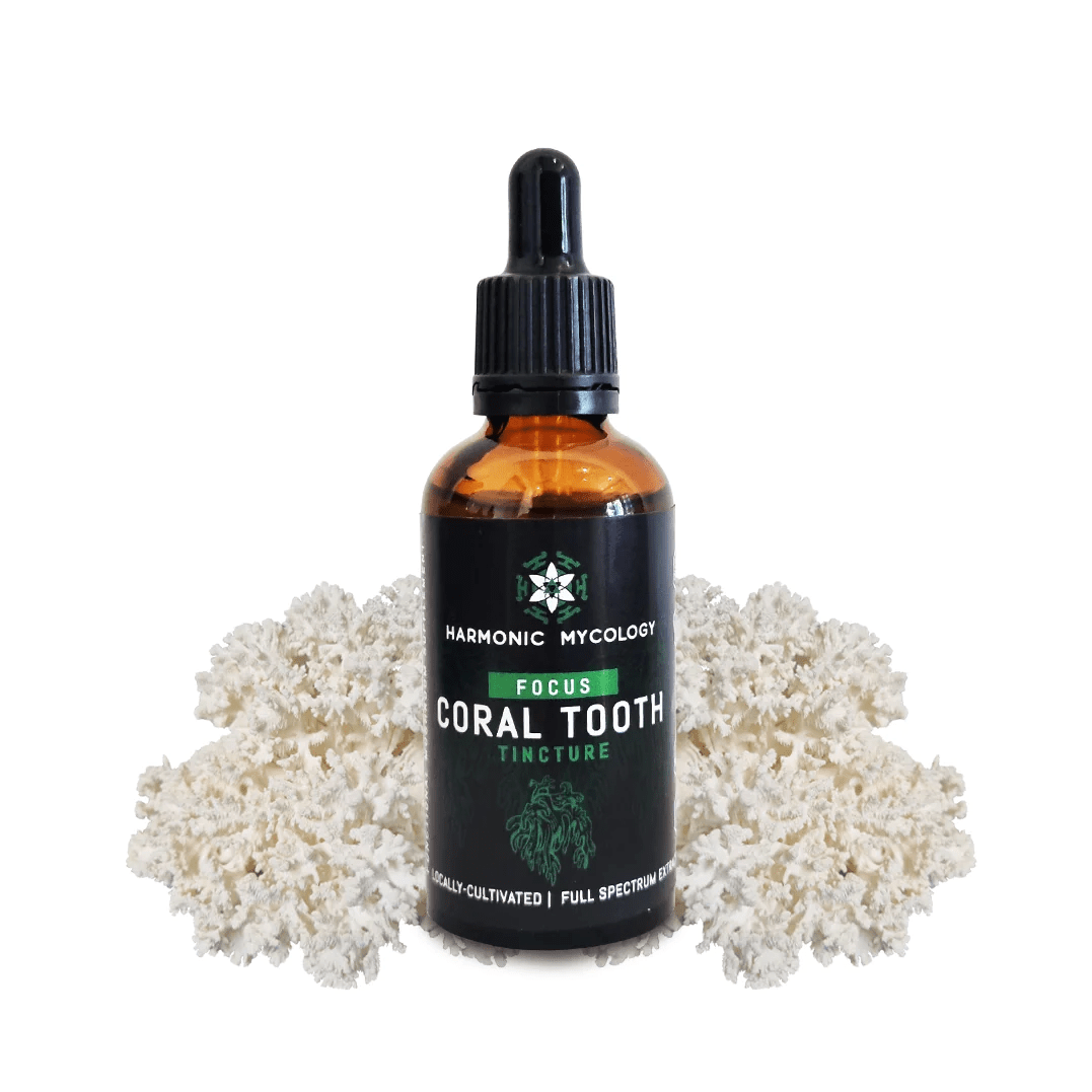 Coral Tooth | Earth Wyze