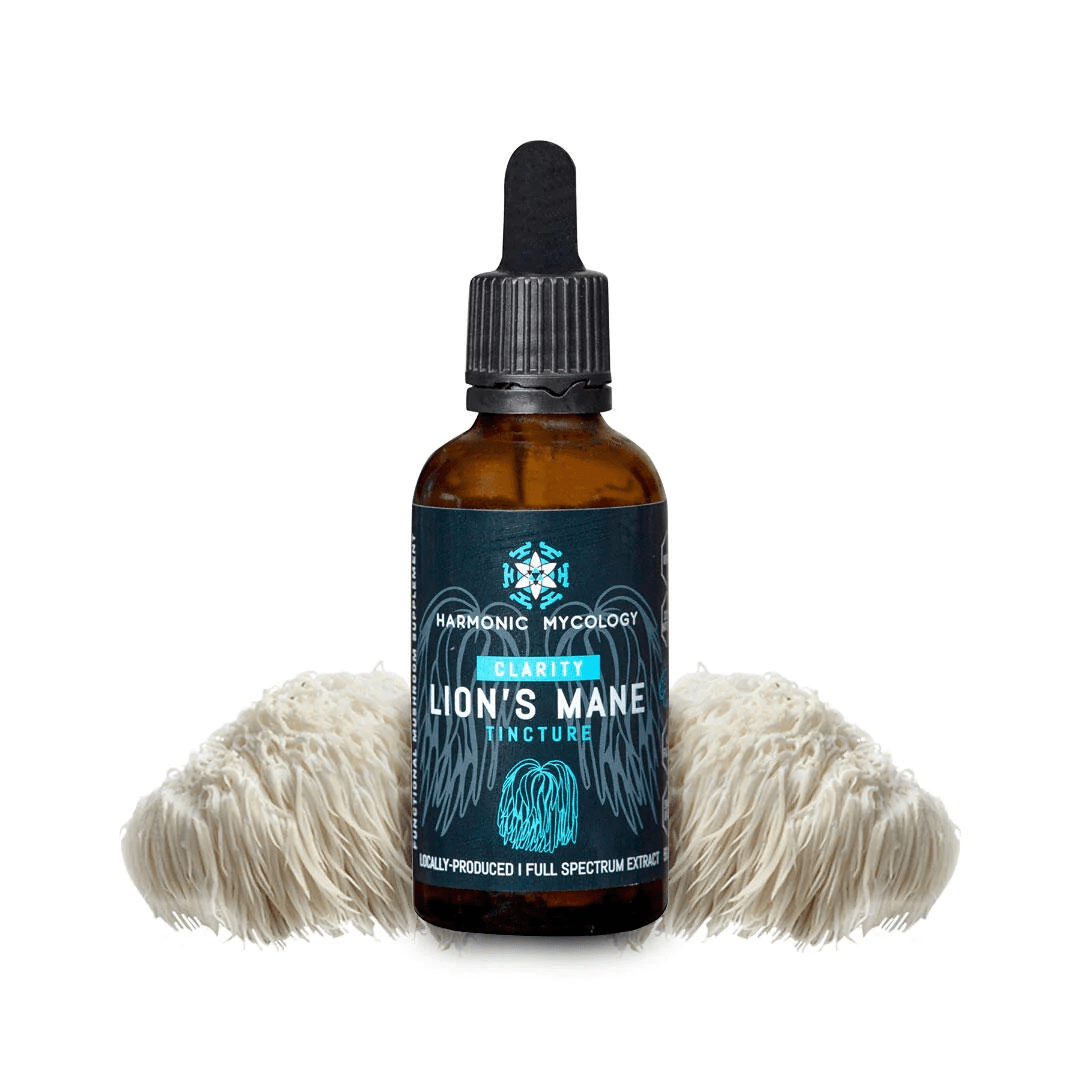 Reishi vs. Lion’s Mane | Earth Wyze