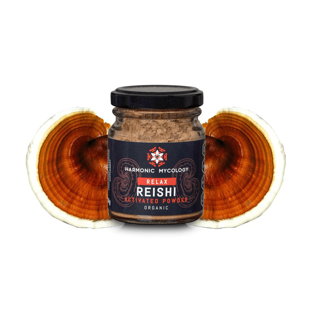 Reishi mushroom powder 50 grams dried