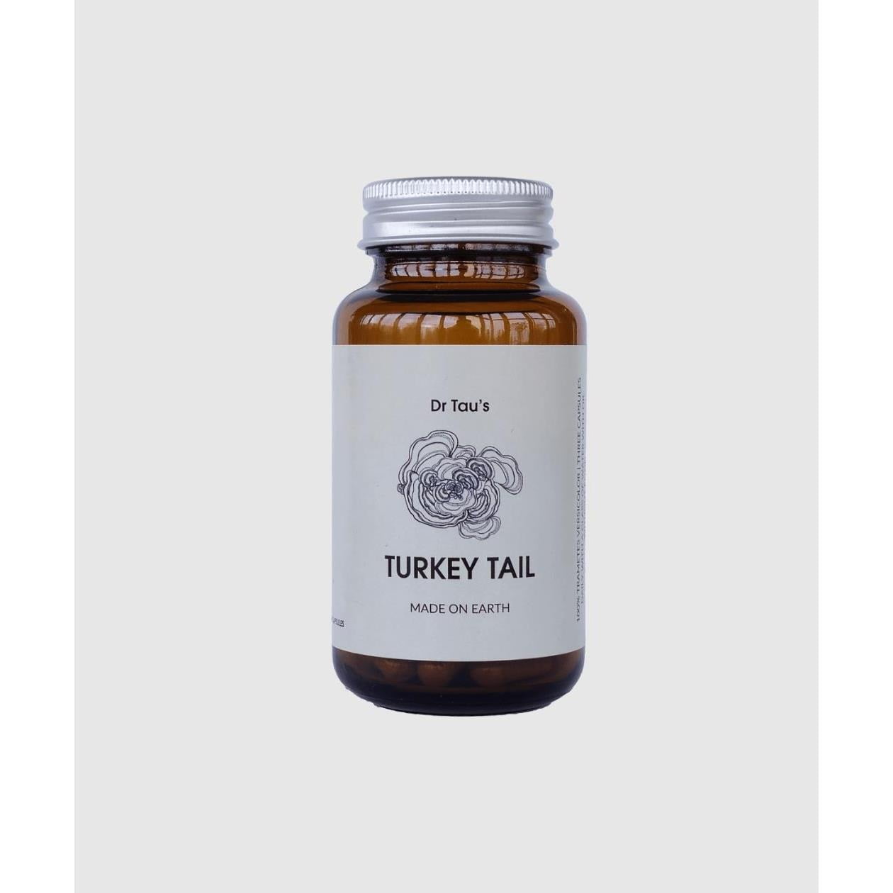 Turkey tail | Earth Wyze