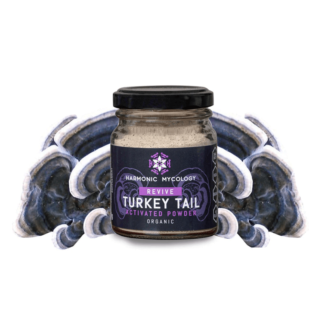 Turkey tail mushroom powder 50 grams